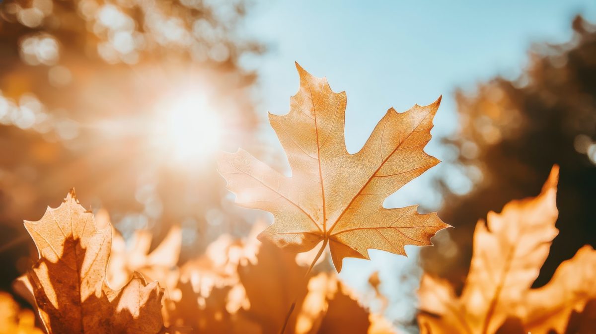 Featured image for “SYYSLOMA 13.10.-19.10.2025”